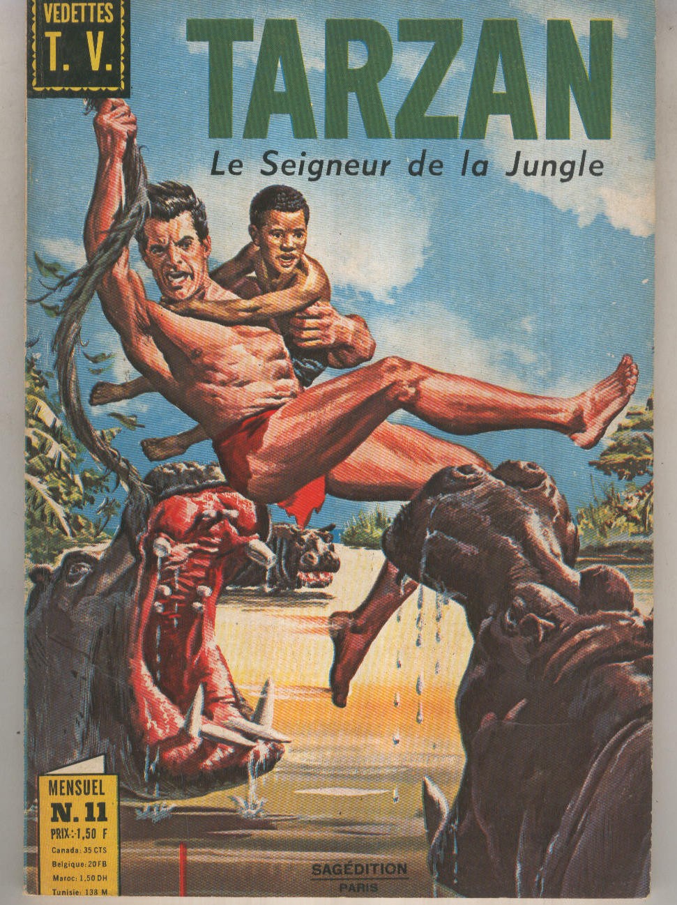 TARZAN Le Seigneur de la Jungle 11: La valle du sepulcre