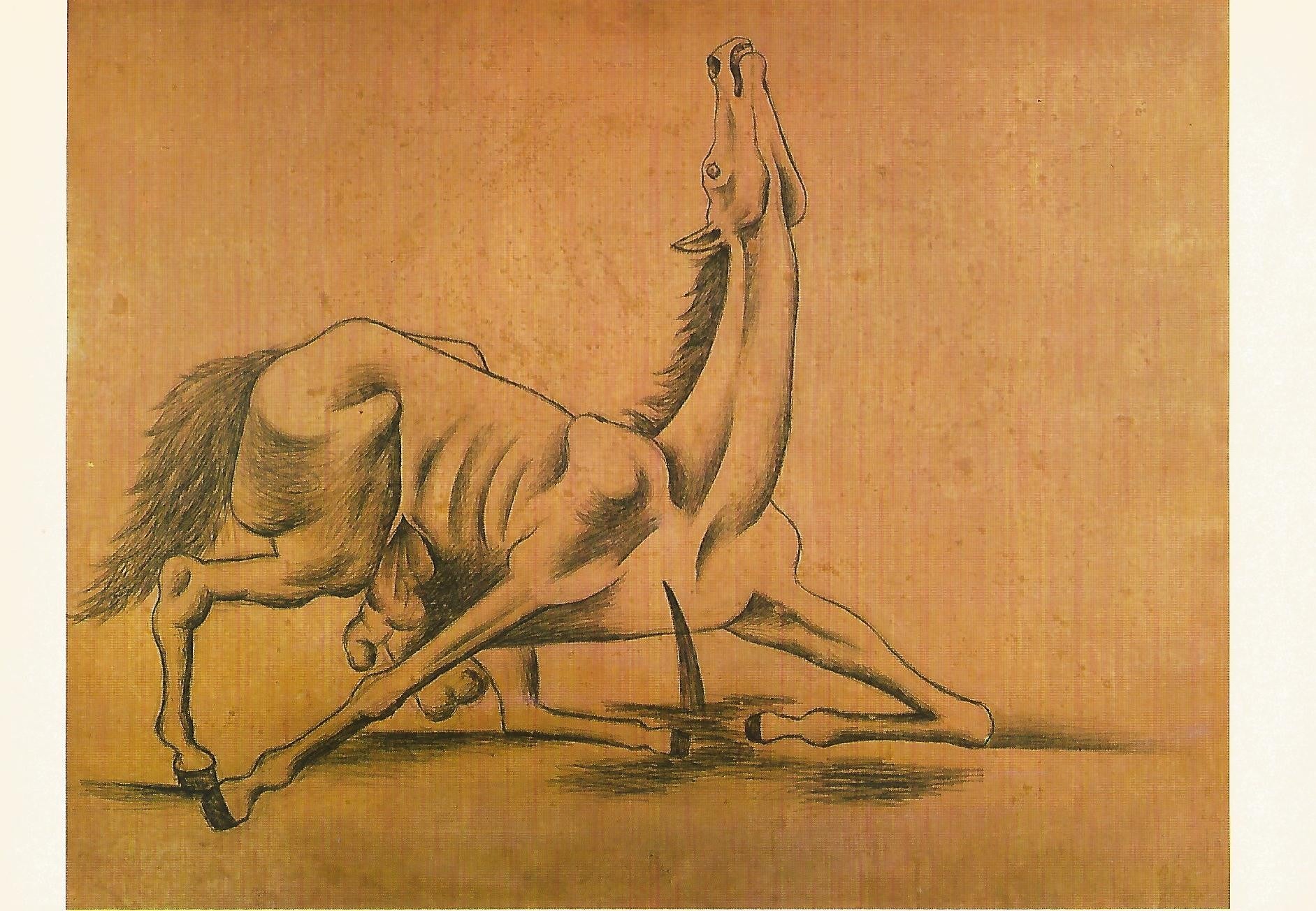 Lamina 065: Picasso. Caballo corneado