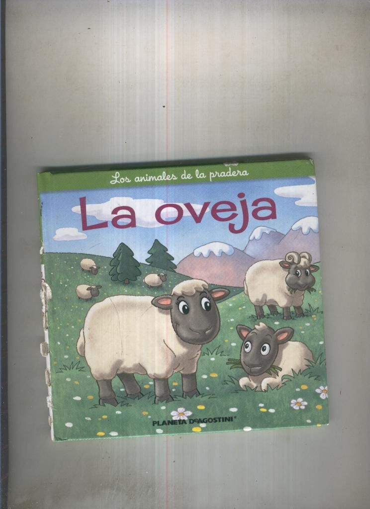 Los animales de la pradera: La oveja