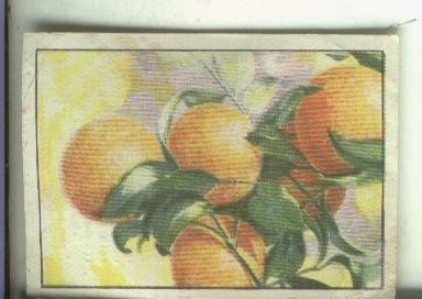 Cromo:  segundo album Gallina Blanca serie 16 Frutos de España numero 10