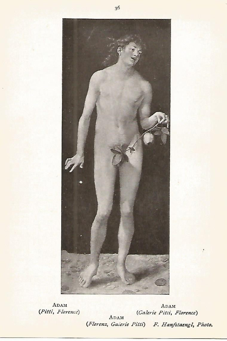 Lamina 329: DURER. Adan