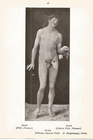 Lamina 329: DURER. Adan