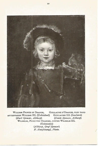 Lamina 353: REMBRAND. William principe de Orange