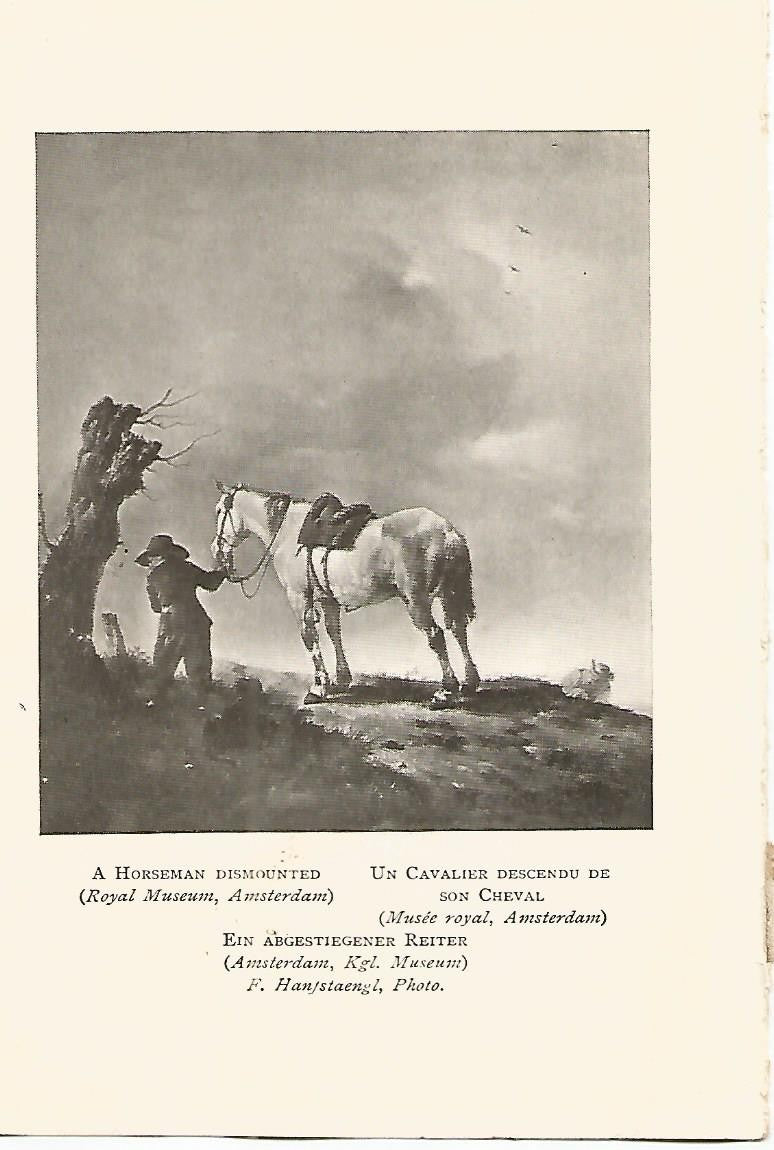 Lamina 406: WOUWERMAN. 