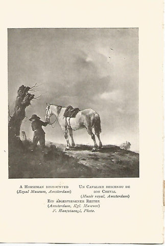 Lamina 406: WOUWERMAN. 