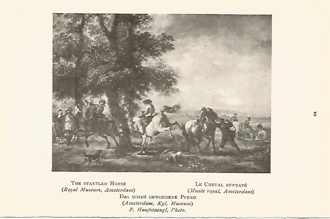 Lamina 409: WOUWERMAN. El caballo asustado