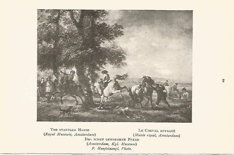 Lamina 409: WOUWERMAN. El caballo asustado
