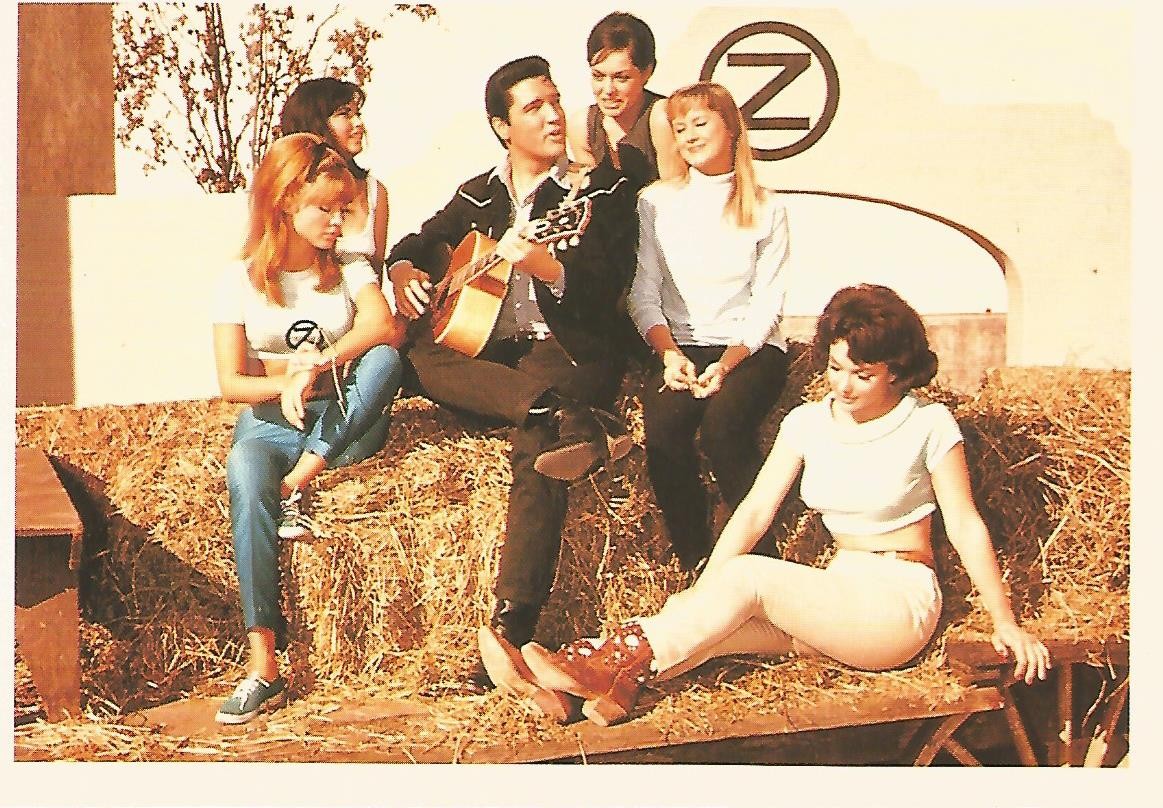 Postal 52743: ELVIS PRESLEY - Tickle Me MGM 1965