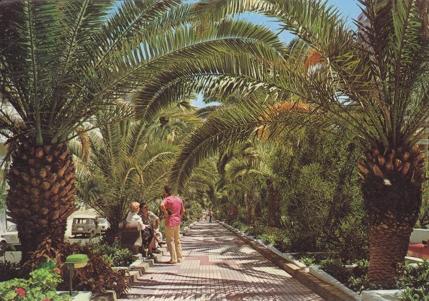 Postal 60275: Po de las palmeras Puerto de la Cruz (Tenerife)