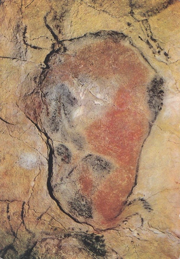 Postal 60482. Bisonte. Cueva de Altamira. Santillana (Santander)