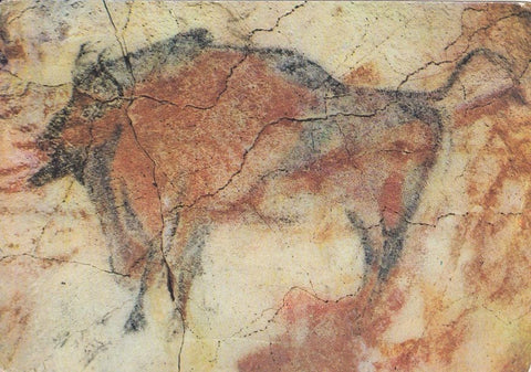 Postal 60484. Cuevas de Altamira. Bisonte. Santillana (Santander)