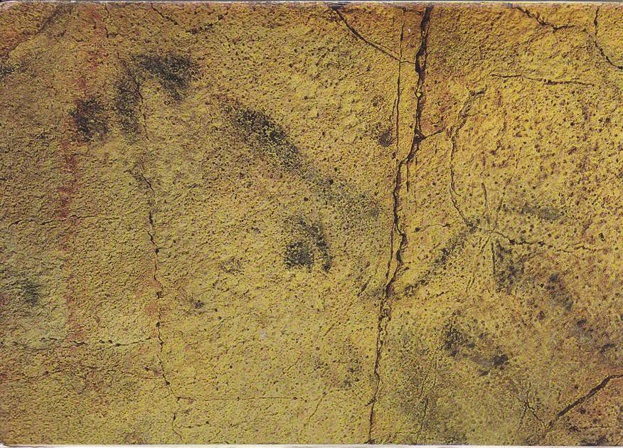 Postal 60497. cabeza de Toro. Cuevas de Altamira.