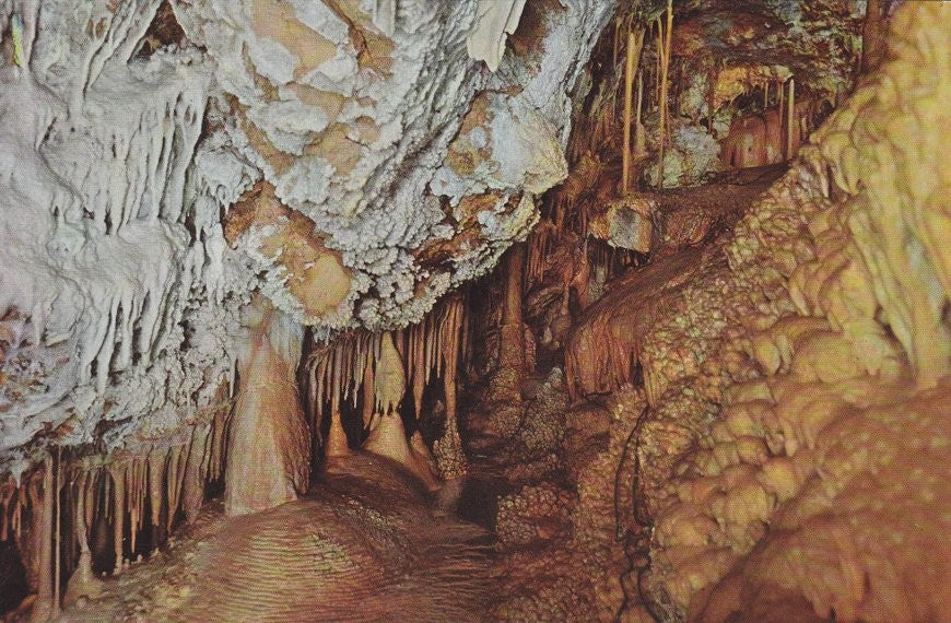 Postal 60507. Cuevas de Mallorca. La perdiz. (Mallorca)