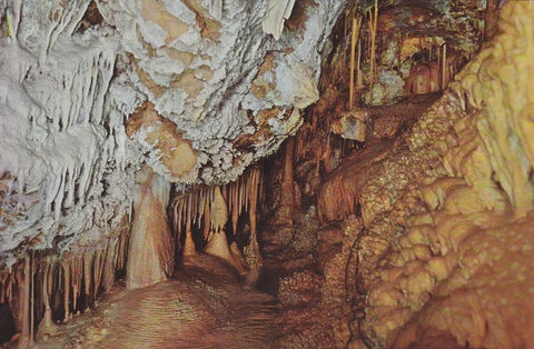 Postal 60507. Cuevas de Mallorca. La perdiz. (Mallorca)