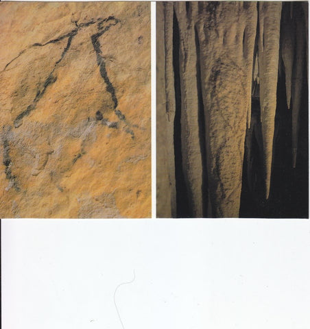 Postal 60536. Pinturas rupestres. Cuevas de Nerja. Malaga