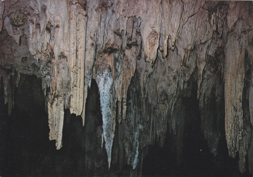 Postal 60537. Interior de la Cueva. Nerja.  Malaga