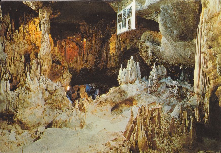 Postal 60542.  Sala del museo. Cuevas de Nerja.  Malaga