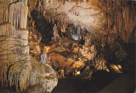 Postal 60543.  Sala de los fantasmas. Cuevas de Nerja.  Malaga