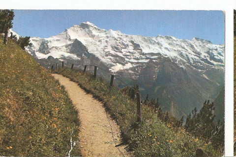 Postal 044354 : Schyrnige Platte Jungfrau