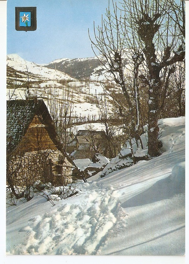 Postal 044356 : Paisaje Nevado