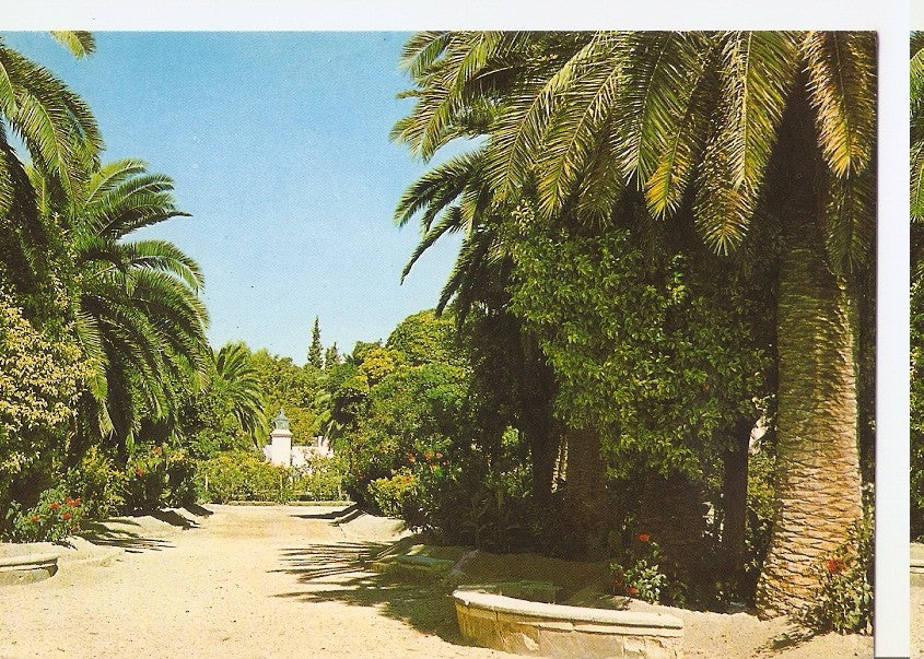 Postal 044366 : Hellin. Jardines de la Feria Antigua