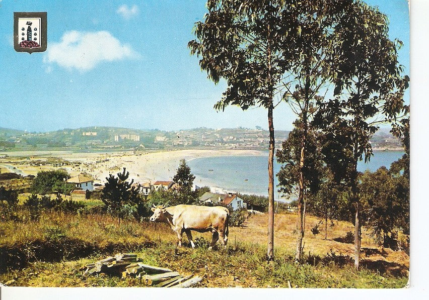 Postal 044431 : La Coruña. Playa de Santa Cristina