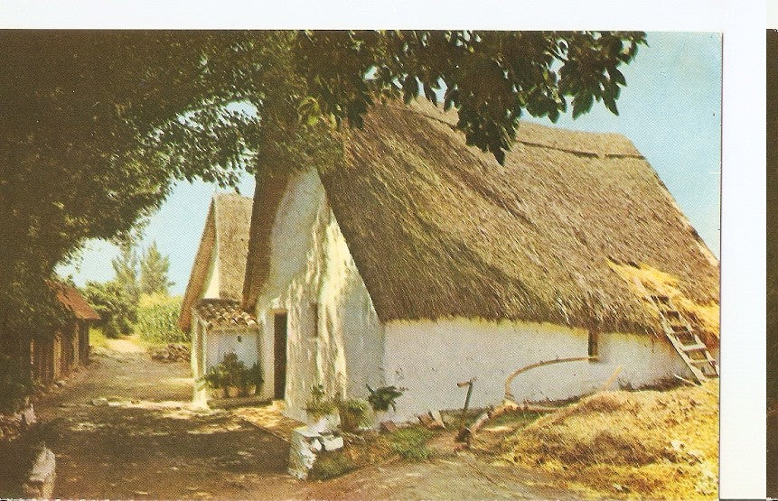 Postal 044455 : Valencia