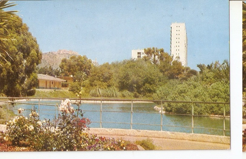 Postal 044477 : Town Park. Oran