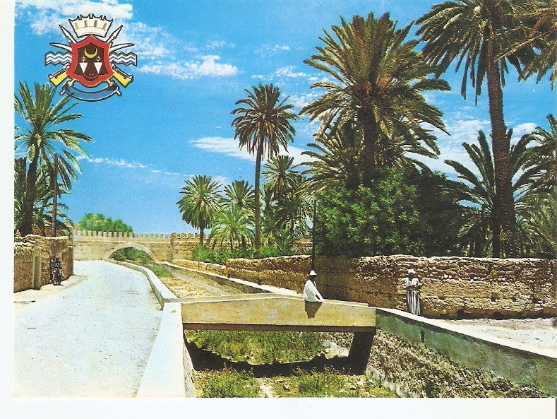 Postal 044525 : Tiznit. Armoirie de la Ville