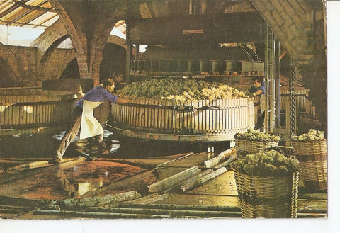 Postal 044533 : Cavas Codorniu. Prensado de la uva
