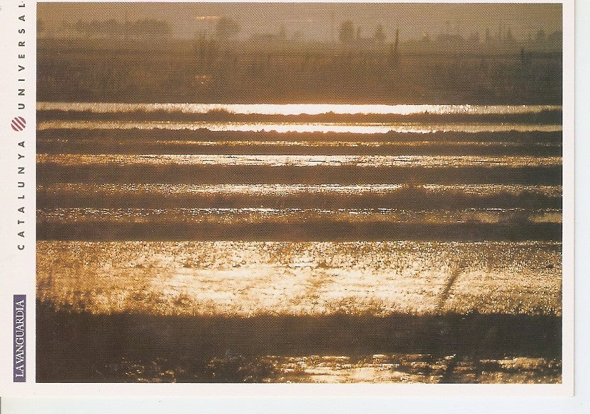 Postal 044576 : El Delta de lEbre. Amanecer en una de las zonas de cultivo