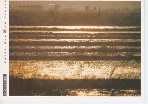Postal 044576 : El Delta de lEbre. Amanecer en una de las zonas de cultivo