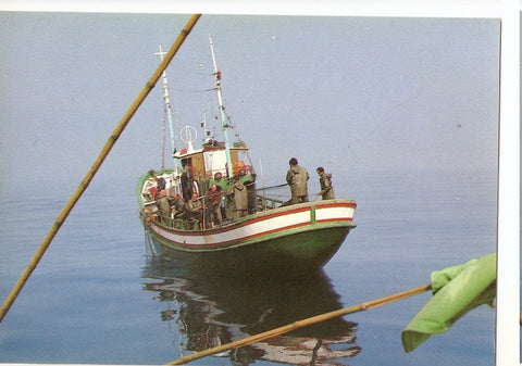 Postal 044652 : Cantabria. Colores y Lineas de España