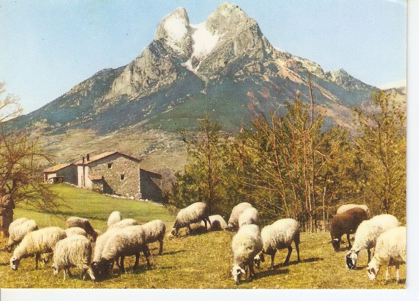 Postal 044856 : Berga. Pedraforca - Saldes