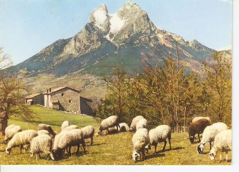 Postal 044856 : Berga. Pedraforca - Saldes