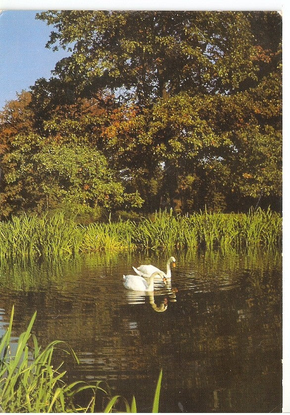 Postal 044883 : Cisnes