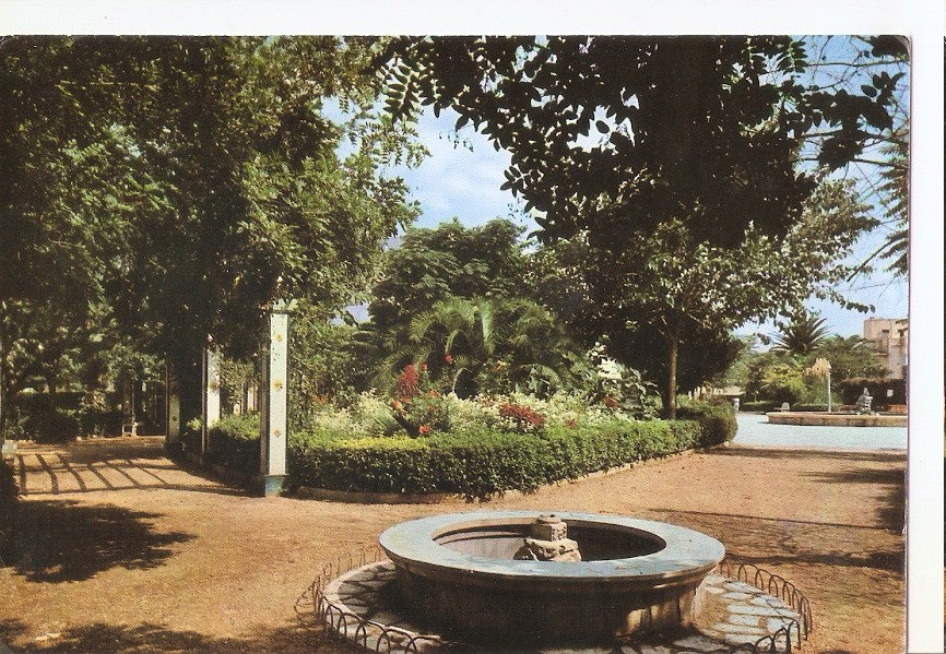 Postal 044884 : Aspe (Alicante). Parque del Dr. Calatayud