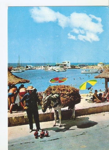 Postal 044896 : Mallorca. Can Pastilla. Vista parcial