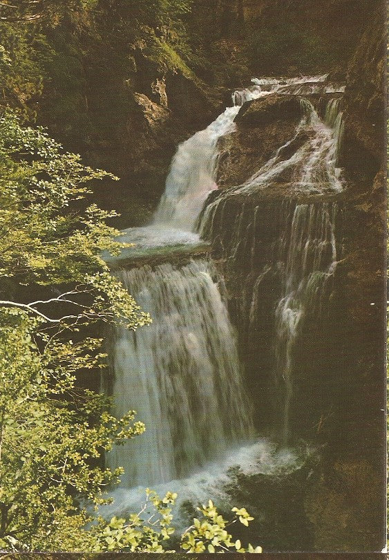 Postal 044939 : Parque Nacional de Ordesa (Pirineo Aragones). Cascada en el rio Arazas
