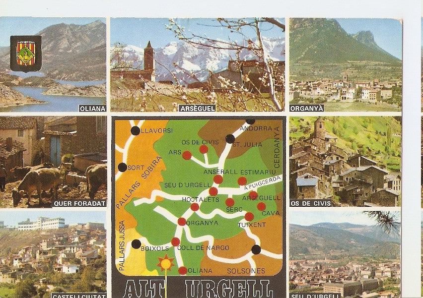 Postal 044993 : Alt Urgell. Diversos aspectos