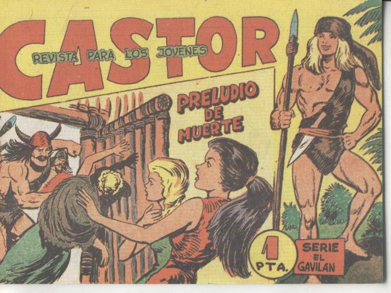Castor numero 29