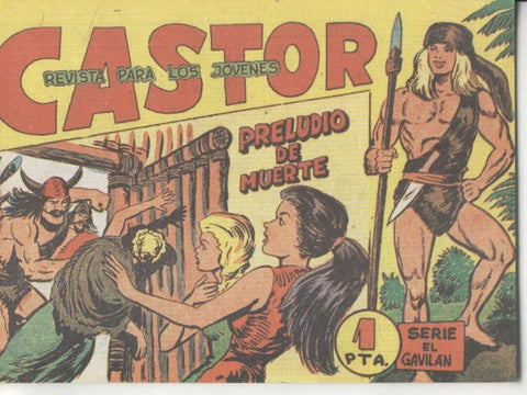 Castor numero 29