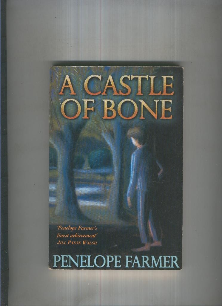 A Castle of bone
