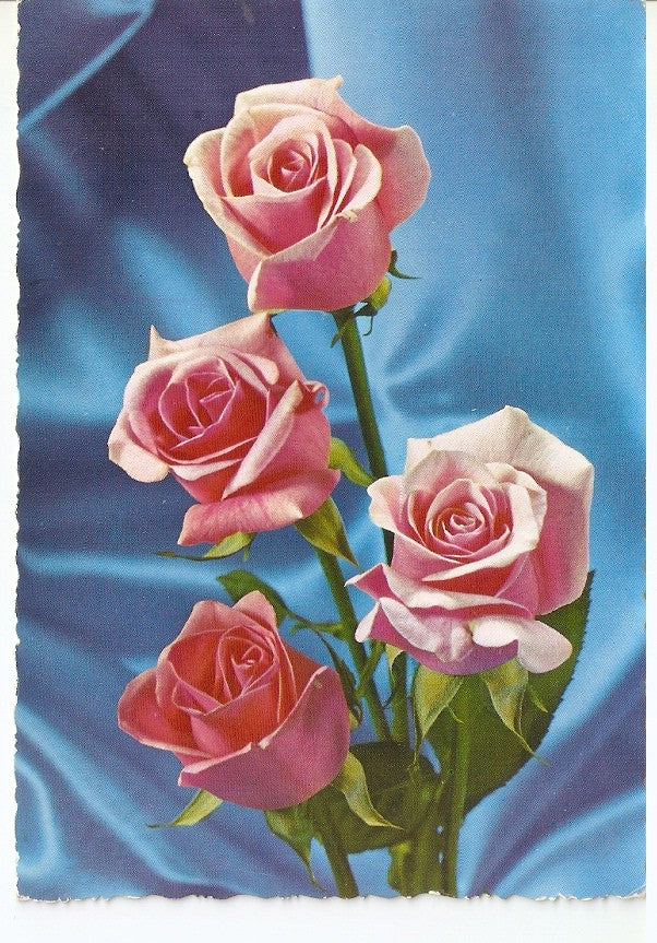 Postal 045027 : Rosas rosas