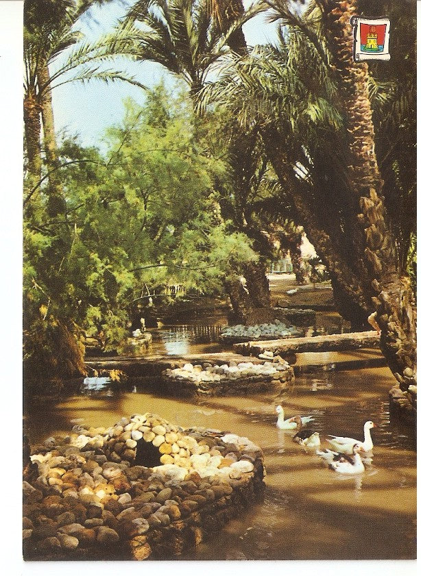 Postal 045114 : Elche. Parque Municipal Patos