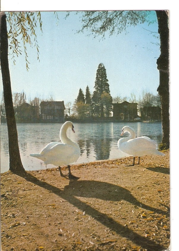 Postal 045152 : Puigcerda. Lago