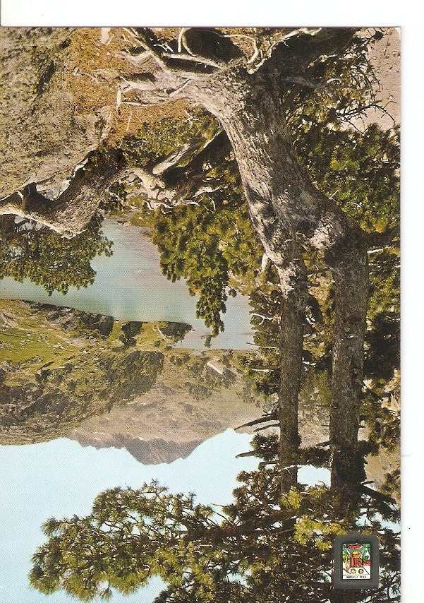 Postal 045158 : Pirineu Catala (Lleida). Vall dAran. Salardu. Colomes. Llac Largo