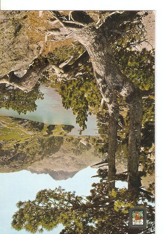 Postal 045158 : Pirineu Catala (Lleida). Vall dAran. Salardu. Colomes. Llac Largo
