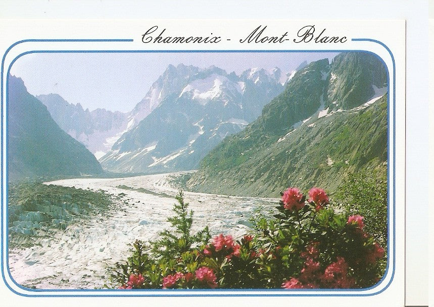 Postal 045288 : Chamonix Mont-Blanc (Hte-Savoie). La Mer de Glace et les Grandes Jorasses