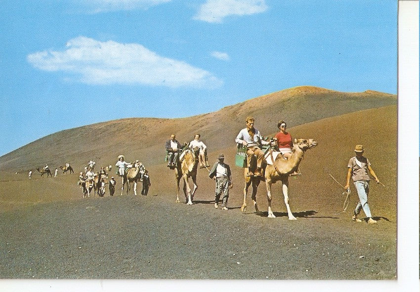 Postal 045362 : Lanzarote. La isla de los volcanes. Caravana de los camellos